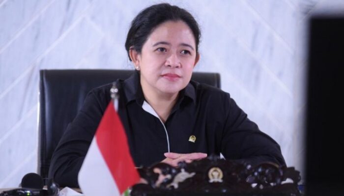 DPR Sampaikan Keberatan Tak Ada Isu Perdamaian Palestina Di Sidang P20 India