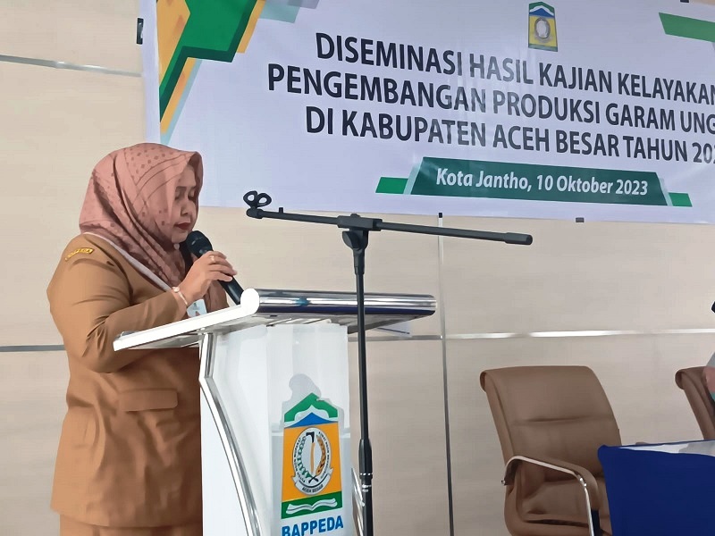 Diseminasi Hasil Kajian Kelayakan Pengembangan Produksi Garam Unggul Di Aceh Besar