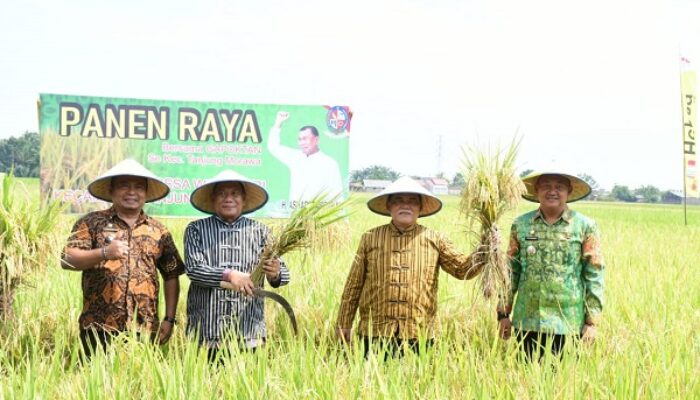 Deliserdang Penopang Kebutuhan Pangan Nasional