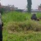 Polres Pematangsiantar melalui Bhabinkamtibmas Bripka Ara Butarbutar memediasi keluhan warga tentang lembu masuk ke lahan kosong bekas SMA Surya Murni, Jl. Melanthon Siregar, Kel. Marihat Jaya, Kec. Siantar Marihat, Minggu (8/10).(Waspada-Ist).