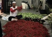 11 Kecamatan Aceh Singkil Dukung Stabilitas Harga Pangan