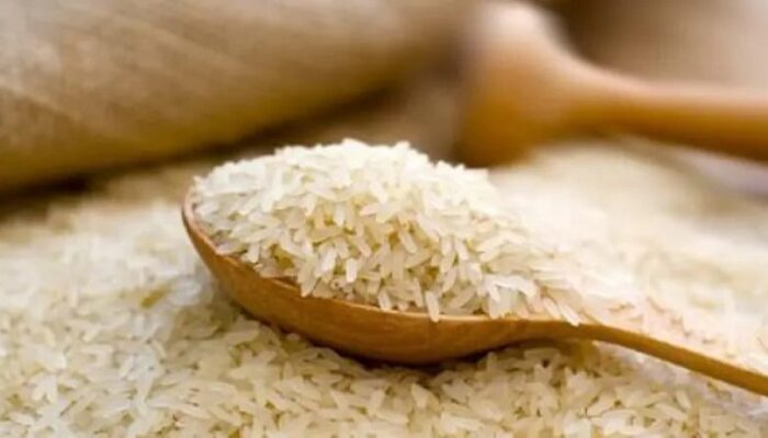 Madina Belum Temukan Beras Sintesis