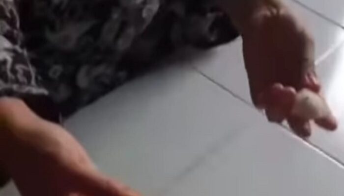 Warga Kota Binjai ‘Dihantui’ Beras Plastik