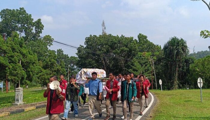 Balita Gizi Buruk Meninggal, Mahasiswa Usung Keranda Ke Kantor Bupati
