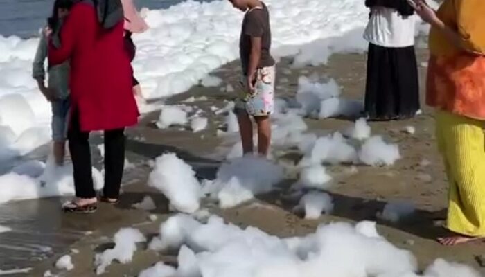 Gumpalan Busa Putih Di Pantai Tohia Dalam Pemerikasaan Laboratorium