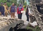 Ketua PMI Simeulue Tinjau Korban Banjir Dan Jalan Amblas