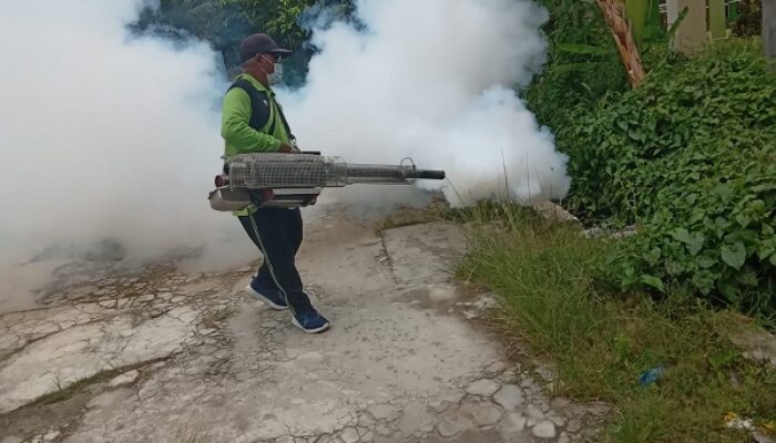 DBD Menyerang, Pemukiman Warga Di Fogging
