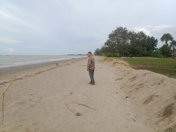 Salah satu sisi Pantai Lancok di Kecamatan Syamtalira Bayu, Aceh Utara yang mengalami abrasi, Rabu (4/10). Kawasan tersebut merupakan salah satu lokasi wisata pantai di Aceh Utara. (Waspada/Zainal Abidin)