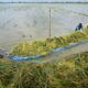 Lahan persawahan padi sawah. Waspasa/Ist