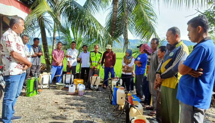 Lab PHP Semprot Massal Hama Padi Petani Abdya