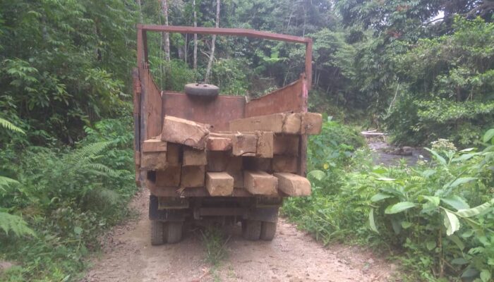 LiRA Tabagsel Laporkan Perambahan Hutan Di Tapsel