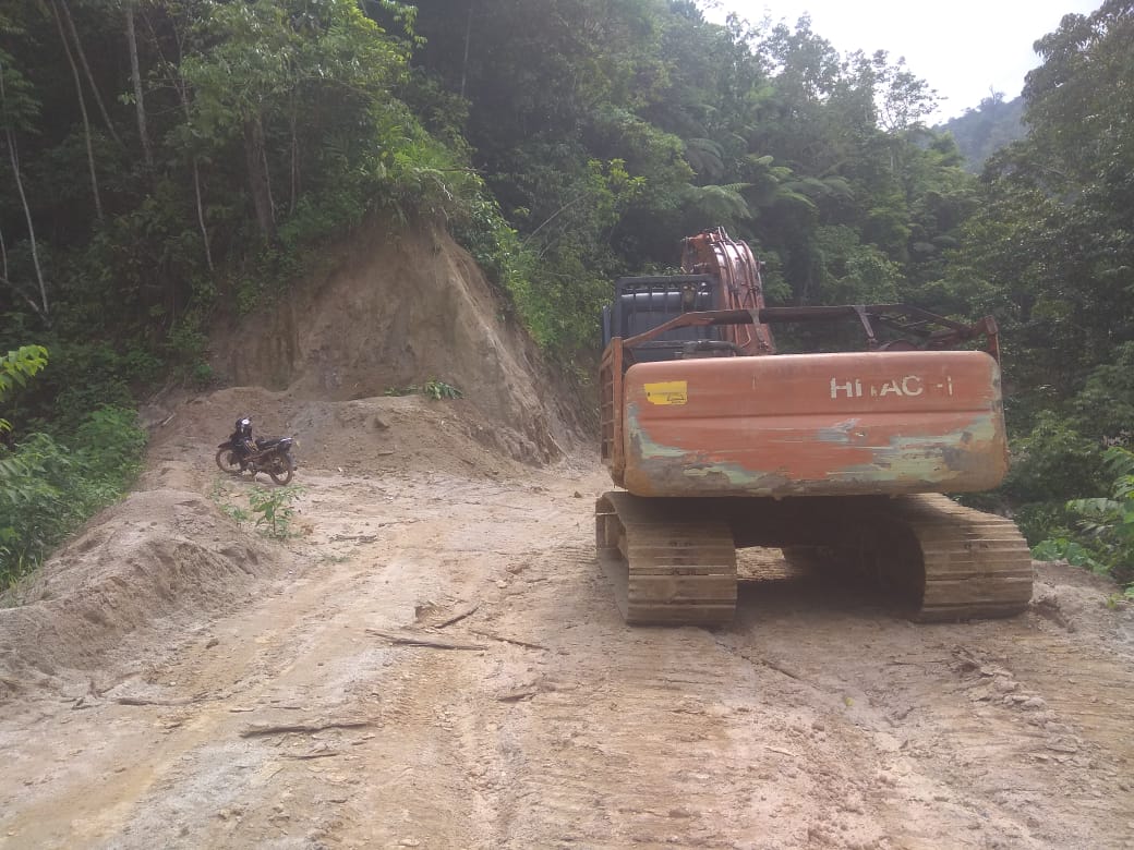 LiRA Tabagsel Laporkan Perambahan Hutan Di Tapsel