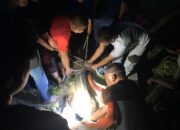 Petugas BPBD Aceh Besar Evakuasi Kerbau Dalam Sumur