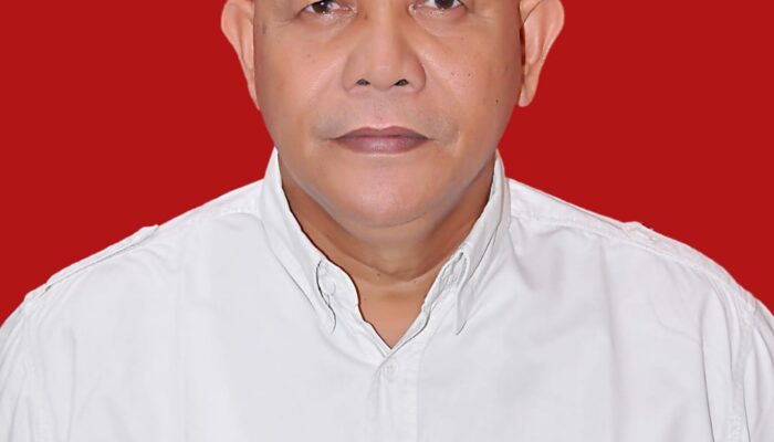 Dahnil Ginting Berharap Bupati Deliserdang Berasal Dari Putra Daerah