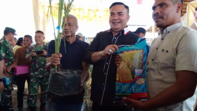 Pemkab Agara Bagikan Secara Simbolis Benih Padi Dan Kelapa Pemkab Agara Bagikan Secara Simbolis Benih Padi Dan Kelapa