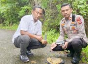 Jelang Pemilu 2024, Warga Tiro Serahkan Pistol Sisa Konflik Ke Polisi