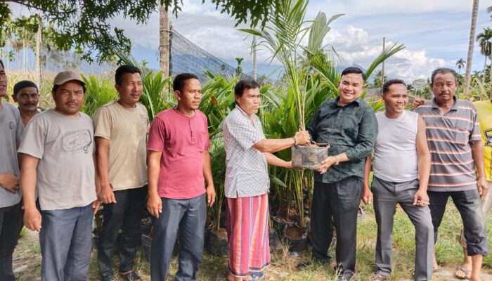 Anggota DPR RI Salim Fakhry Bagikan Bibit Kelapa