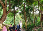 Jembatan Gantung Lhok Batee Intan Abdya Memprihatinkan