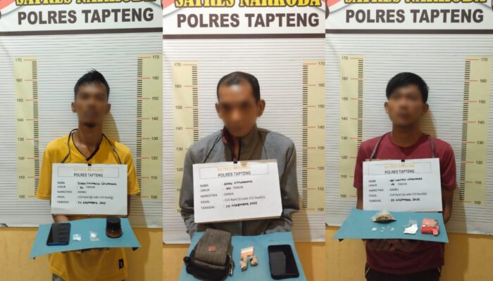 3 Tersangka Pemilik Ganja Dan Sabu Di Tapteng Diringkus