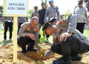 Fokus Tanam Pohon Demi Kelestarian Lingkungan