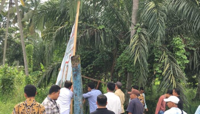 Panwaslu Madina Tertibkan APS Sampai Masuk Kampanye