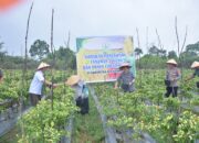 Meurah Budiman Raih Prestasi Gemilang Berkat Dukungan Multi Pihak