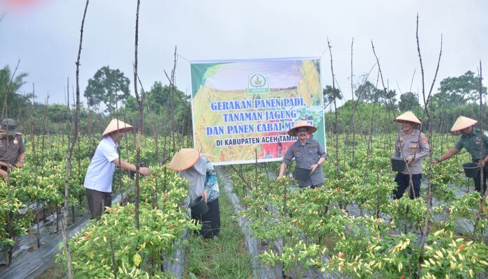 Meurah Budiman Raih Prestasi Gemilang Berkat Dukungan Multi Pihak