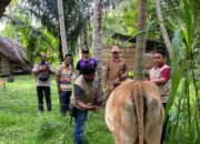 Kadistan Aceh Besar Imbau Peternak Waspadai PMK