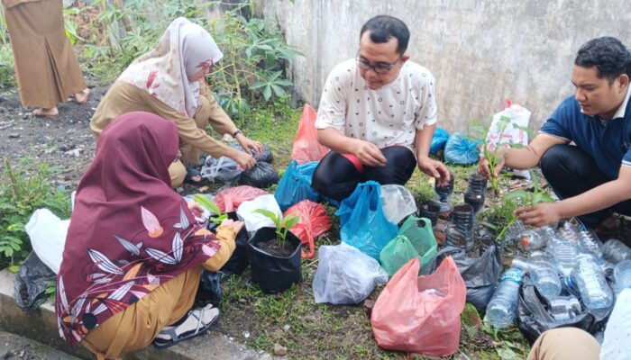 Guru Dan Siswa SD Negeri 060954 Panen Sayur Mayur Di Kebun Sekolah