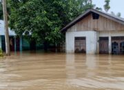 Banjir Di Tripa Makmur Belum Surut, Warga Mengungsi