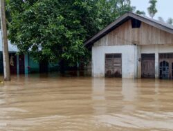 Banjir Di Tripa Makmur Belum Surut, Warga Mengungsi