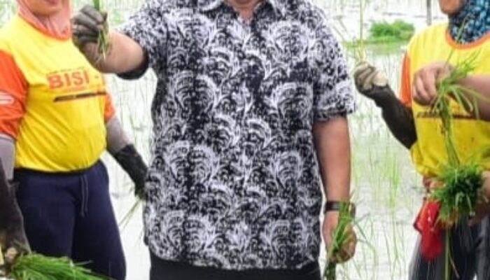 Gerakan Tanam Padi Komitmen Bersama Bangun Pondasi Kehidupan Yang Berkelanjutan