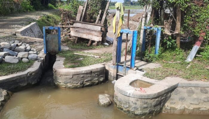 Sektor Pertanian Jadi Sorotan, Pemkab Pidie Diminta Perhatikan Infrastruktur