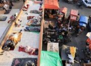 Korban Tewas Akibat Kebrutalan Israel Terus Bertambah