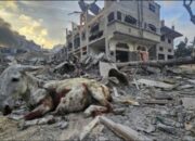 Israel Kian Brutal, Setelah RS Indonesia, Kini Serang Sekolah