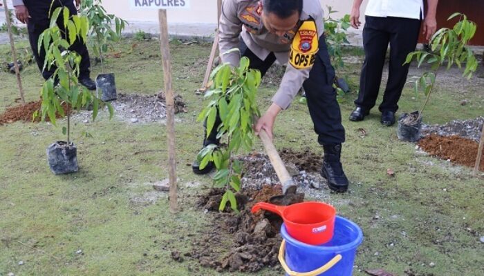 Polres Humbahas Tanam Pohon