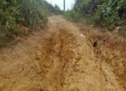 Tiger FC Menang, Persidi Imbangi Benteng Gatra