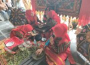 Peserta dari Agara menggunakan motif inai zaman dahulu yang di gunakan suku alas terlihat dalam gambar. Waspada/Ist