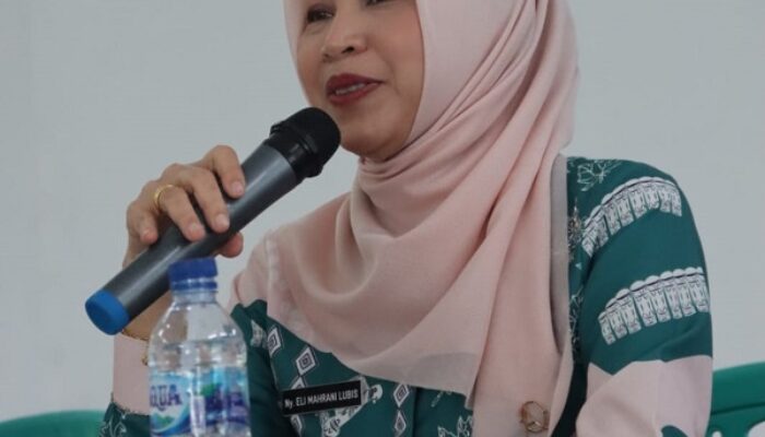 Eli Mahrani: Peran PKK Desa Seperti Ibu Dalam Keluarga