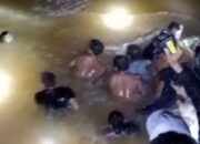 Viral, Warga Evakuasi IRT Tewas Diterkam Buaya