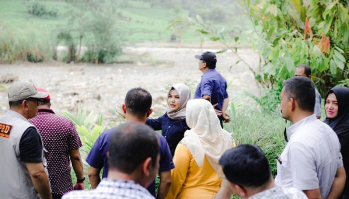 Ketua PPP Nilai Wabup Madina Aspiratif Dan Responsif