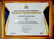 BKPSDM Pidie Raih Penghargaan Terbaik BPSDM Provinsi Aceh