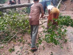 Akses Jalan Tambangan Tertutup Longsor Dan Pohon Tumbang