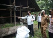 Distan Aceh Besar Sambangi Ternak Di Darul Kamal