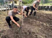 Anggota Polres Sabang Manfaatkan Lahan Kosong Tanana Sayuran