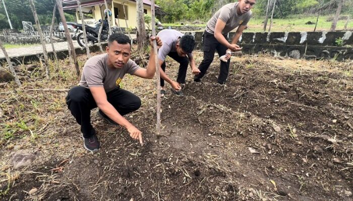 Anggota Polres Sabang Manfaatkan Lahan Kosong Tanana Sayuran