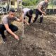 Anggota Polres Sabang tanam sayuran dan buah. (Waspada/ist)