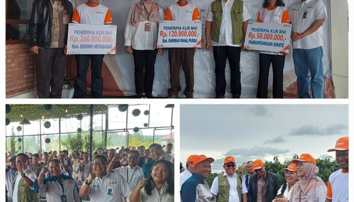 BNI JKK, Panen Kopi Rakyat Humbang Hasundutan Orientasi Ekspor