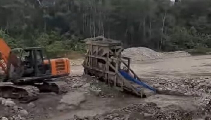Akibat PETI Kotanopan, Persawahan 5 Kecamatan Terancam