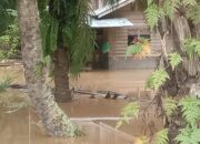 HULU Sungai Besitang meluap, pemukiman warga di Desa Sekoci, Kec. Besitang, terendam banjir. Waspada/Ist